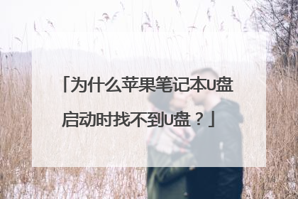 为什么苹果笔记本U盘启动时找不到U盘？