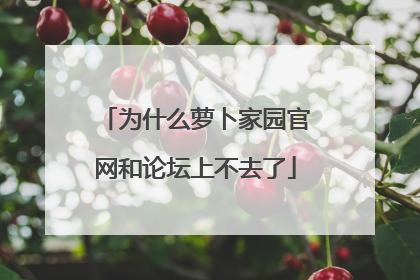 为什么萝卜家园官网和论坛上不去了