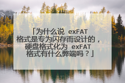 为什么说 exFAT 格式是专为闪存而设计的,硬盘格式化为 exFAT 格式有什么弊端吗?