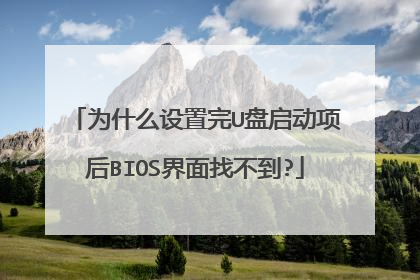 为什么设置完U盘启动项后BIOS界面找不到?