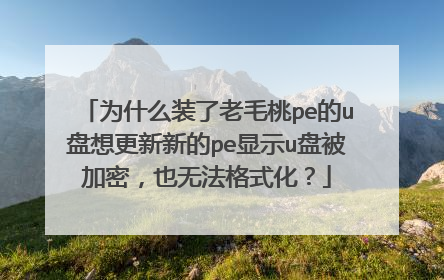 为什么装了老毛桃pe的u盘想更新新的pe显示u盘被加密，也无法格式化？