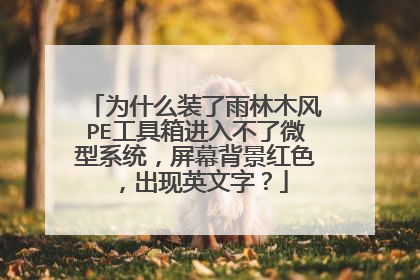 为什么装了雨林木风PE工具箱进入不了微型系统,屏幕背景红色,出现英文字?