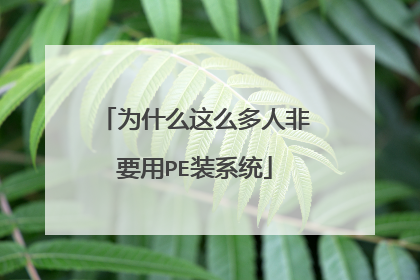 为什么这么多人非要用PE装系统