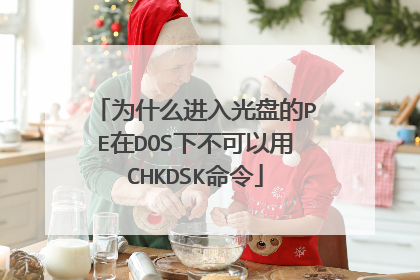 为什么进入光盘的PE在DOS下不可以用CHKDSK命令