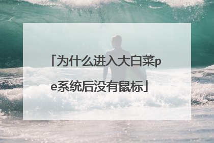 为什么进入大白菜pe系统后没有鼠标