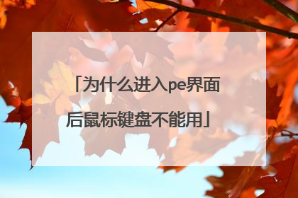 为什么进入pe界面后鼠标键盘不能用