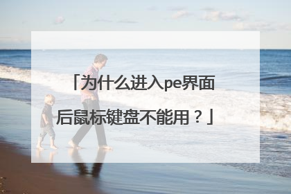 为什么进入pe界面后鼠标键盘不能用？