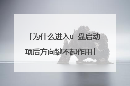 为什么进入u 盘启动项后方向键不起作用