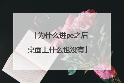 为什么进pe之后桌面上什么也没有