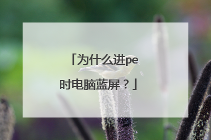 为什么进pe时电脑蓝屏？