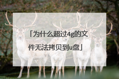 为什么超过4g的文件无法拷贝到u盘