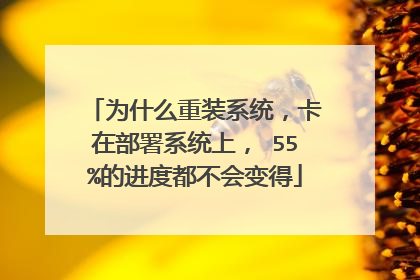 为什么重装系统,卡在部署系统上, 55%的进度都不会变得