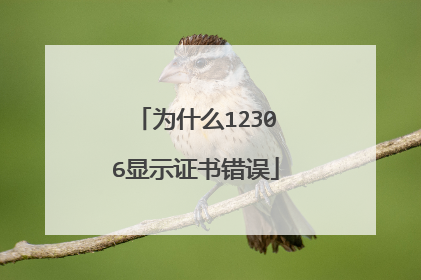 为什么12306显示证书错误