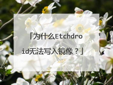 为什么Etchdroid无法写入镜像?