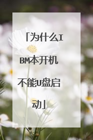 为什么IBM本开机不能U盘启动