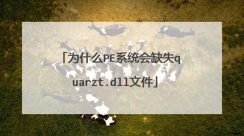 为什么PE系统会缺失quarzt.dll文件