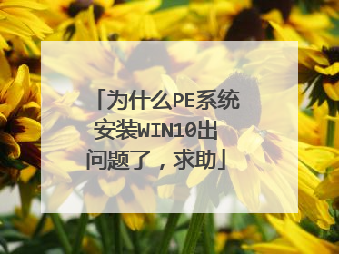 为什么PE系统安装WIN10出问题了，求助