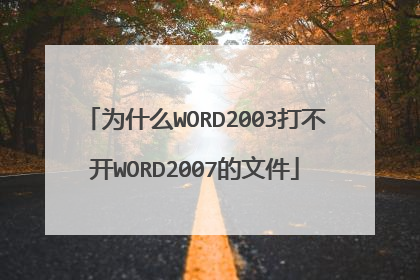 为什么WORD2003打不开WORD2007的文件