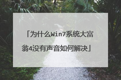 为什么Win7系统大富翁4没有声音如何解决