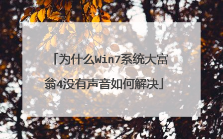 为什么Win7系统大富翁4没有声音如何解决