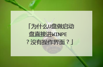 为什么U盘做启动盘直接进WINPE?没有操作界面?