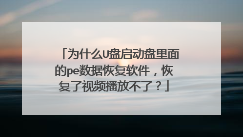 为什么U盘启动盘里面的pe数据恢复软件,恢复了视频播放不了?