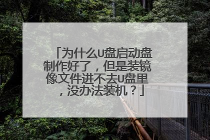 为什么U盘启动盘制作好了,但是装镜像文件进不去U盘里,没办法装机?