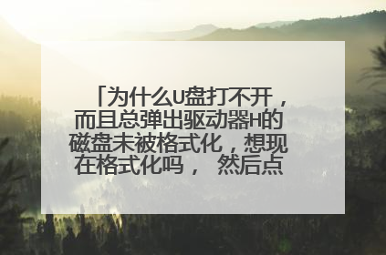 为什么U盘打不开,而且总弹出驱动器H的磁盘未被格式化,想现在格式化吗, 然后点击格式化 说 无法