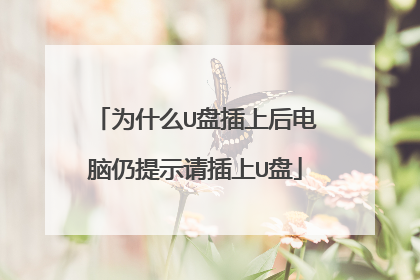 为什么U盘插上后电脑仍提示请插上U盘