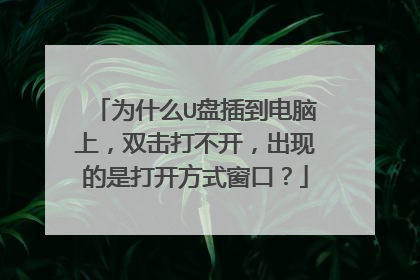 为什么U盘插到电脑上，双击打不开，出现的是打开方式窗口？