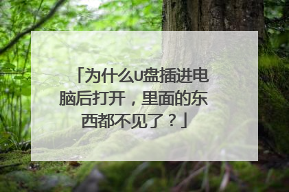 为什么U盘插进电脑后打开,里面的东西都不见了?