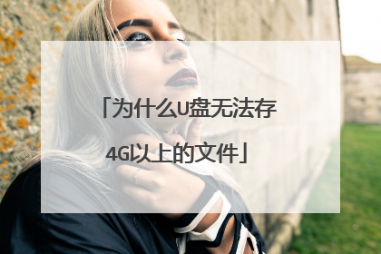 为什么U盘无法存4G以上的文件