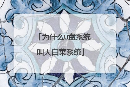 为什么U盘系统叫大白菜系统
