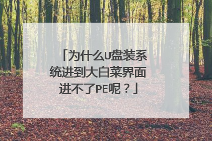 为什么U盘装系统进到大白菜界面进不了PE呢?