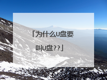 为什么U盘要叫U盘??