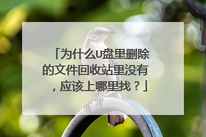 为什么U盘里删除的文件回收站里没有,应该上哪里找?