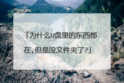 为什么U盘里的东西都在,但是没文件夹了?