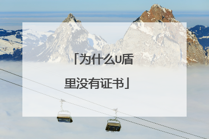 为什么U盾里没有证书