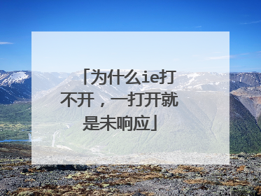 为什么ie打不开,一打开就是未响应
