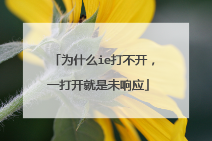 为什么ie打不开,一打开就是未响应