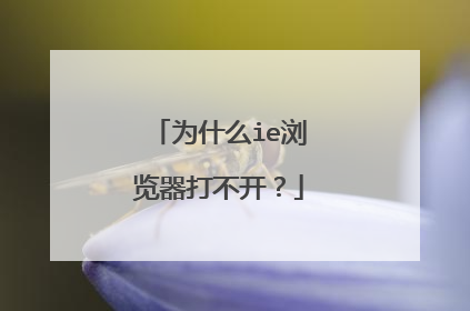 为什么ie浏览器打不开?
