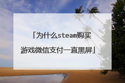 为什么steam购买游戏微信支付一直黑屏
