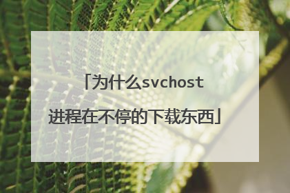 为什么svchost进程在不停的下载东西