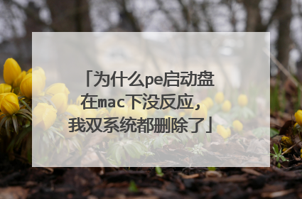为什么pe启动盘在mac下没反应,我双系统都删除了