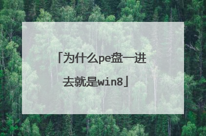 为什么pe盘一进去就是win8