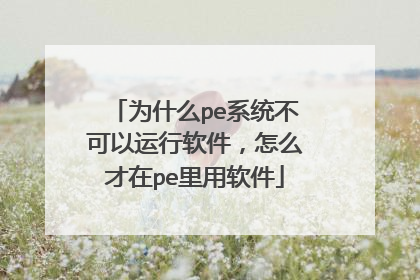 为什么pe系统不可以运行软件,怎么才在pe里用软件