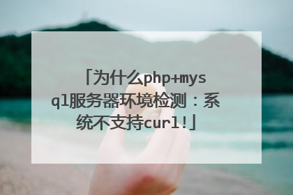 为什么php+mysql服务器环境检测:系统不支持curl!