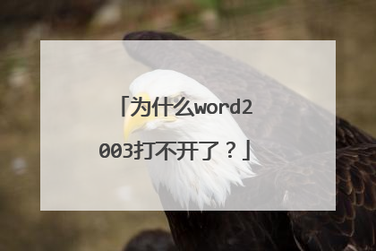 为什么word2003打不开了?