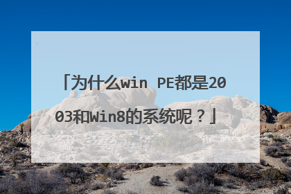 为什么win PE都是2003和Win8的系统呢?