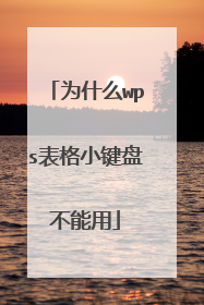 为什么wps表格小键盘不能用